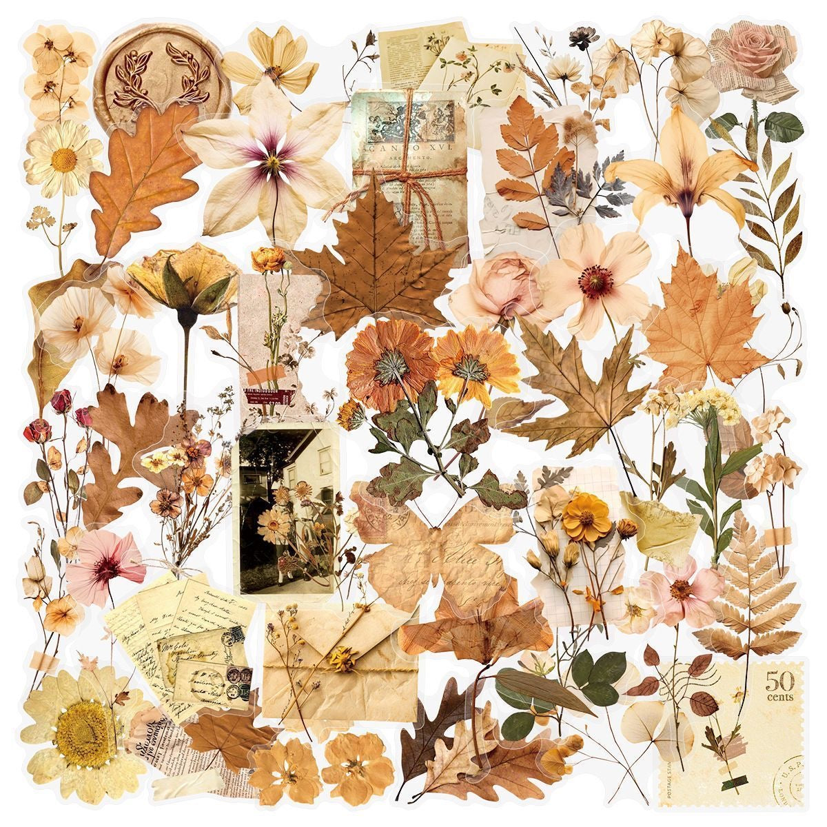 Capture the Autumn Mood: 100 Vintage Dried Flower Stickers for Journaling & Phone Decoration DIY