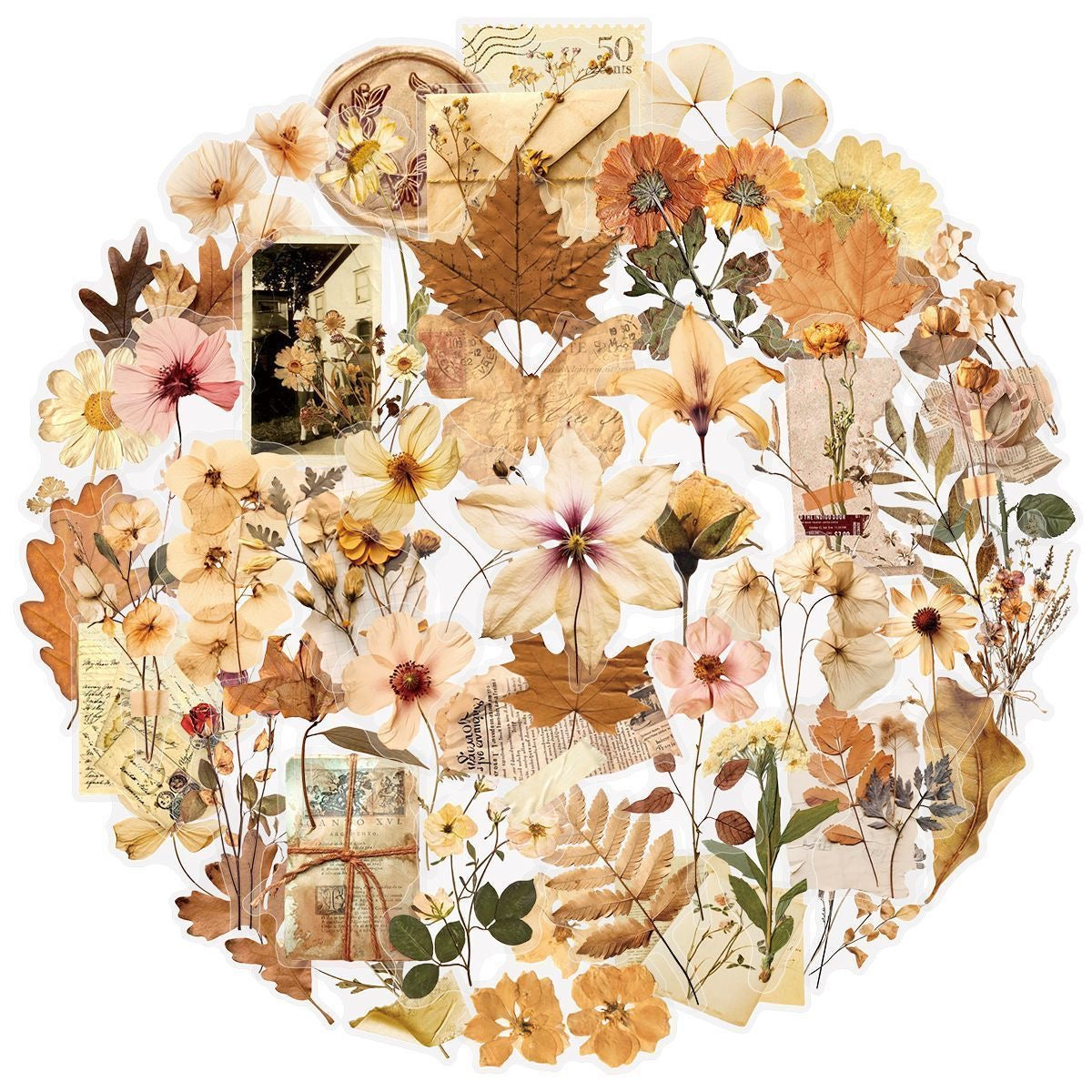 Capture the Autumn Mood: 100 Vintage Dried Flower Stickers for Journaling & Phone Decoration DIY