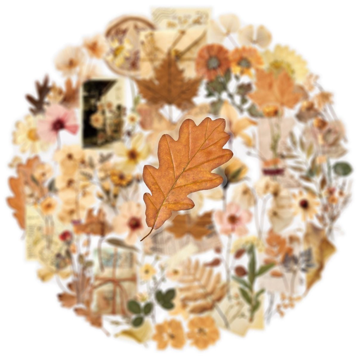 Capture the Autumn Mood: 100 Vintage Dried Flower Stickers for Journaling & Phone Decoration DIY